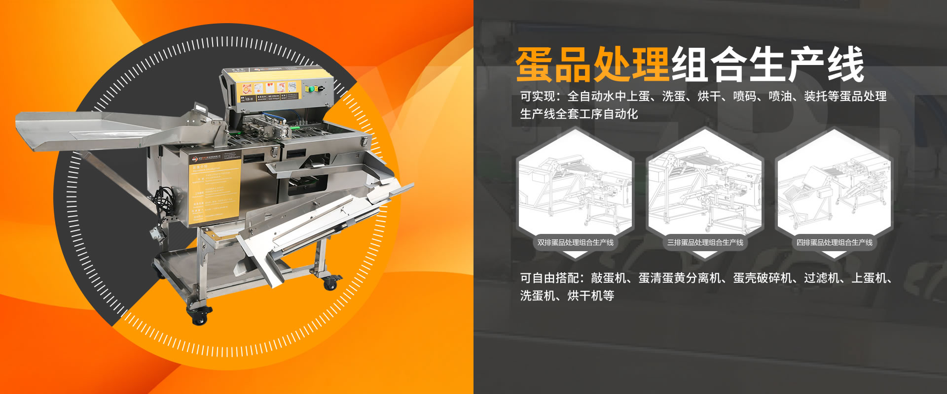 蛋品處理組合生產(chǎn)線(xiàn)
